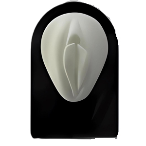 Vagina Silicone Body Bit